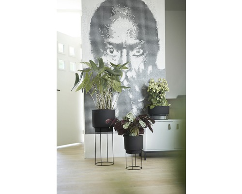 Decoratieve kamerplanten in zwarte plantenbakken met metalen standaards op een lichte houten vloer.