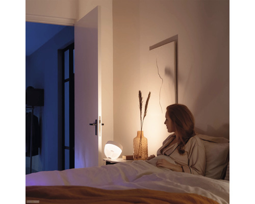 Slaapkamer met nachtkastlamp en vrouw in bed.