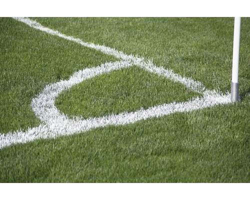 Voetbalveld hoek met hoekvlag en markering