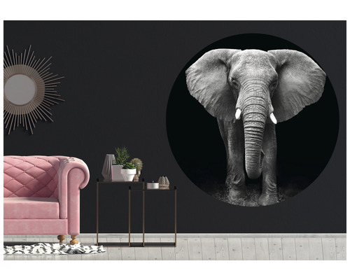Woonkamer met muursticker van een olifant in een cirkel