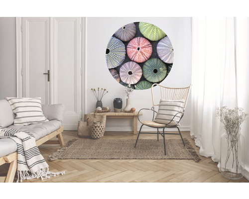 Woonkamer met bank, fauteuil, vloerkleed en muursticker met zeeëgelmotief