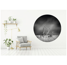 SPECIAL DECORATION Fotobehang vlies Giraffe zwart/wit ø 142,5 cm