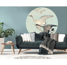 Kameroverzicht met bank, tafel, kamerplant en muursticker met vogelmotief