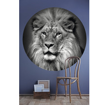 SPECIAL DECORATION Fotobehang vlies Leeuw zwart/wit ø 190 cm