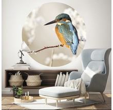 SPECIAL DECORATION Fotobehang vlies IJsvogel ø 190 cm