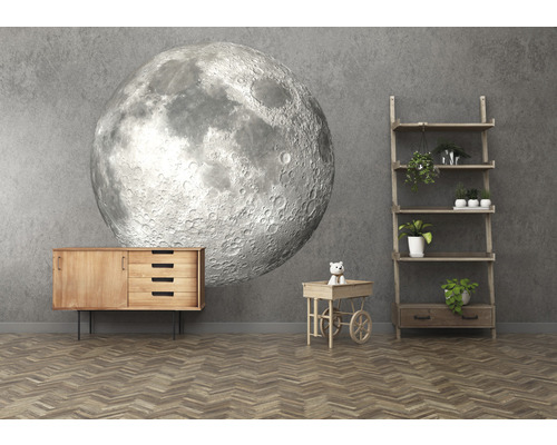 Woonkamer met dressoir, rek, decoratiewagen en maanbehang