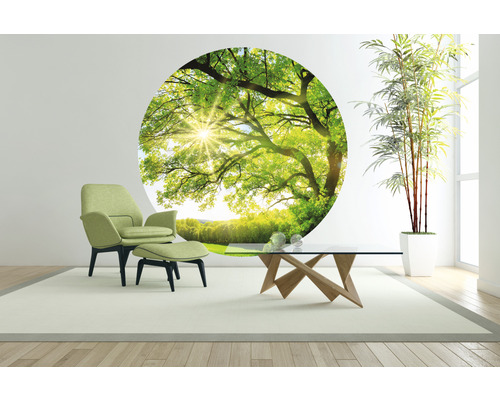 Lichte woonkamer met groene accentmuur, fauteuil, glazen salontafel en kamerplant