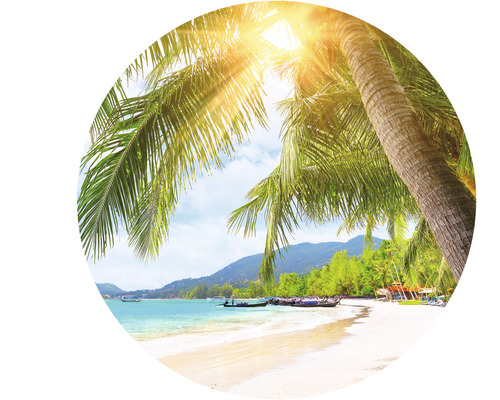 Tropisch strand met palmbomen en zonneschijn