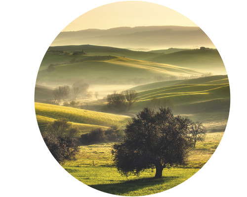 Landschap met heuvels, bomen en mist