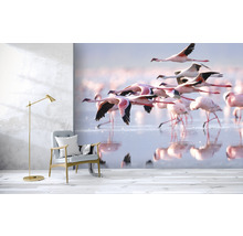 SPECIAL DECORATION Fotobehang vlies Flamingo 243x184 cm-thumb-2