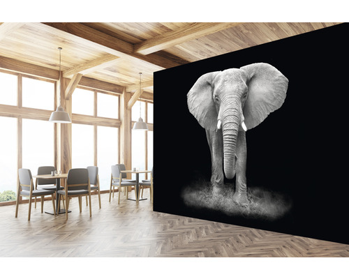 Scene met een interieur en een fotobehang met een olifant
