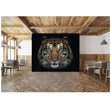 SPECIAL DECORATION Fotobehang vlies Tijger 243x184 cm
