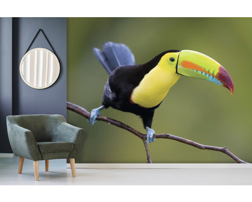 Woonkamer met fauteuils, spiegel en een fotobehang met een toekan op een tak