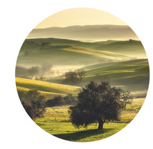 SPECIAL DECORATION Fotobehang vlies Toscane ø 190 cm