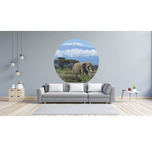 SPECIAL DECORATION Fotobehang vlies Kilimanjaro Olifant ø 190 cm