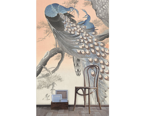 Behang met pauwenmotief en houten stoel in kamer