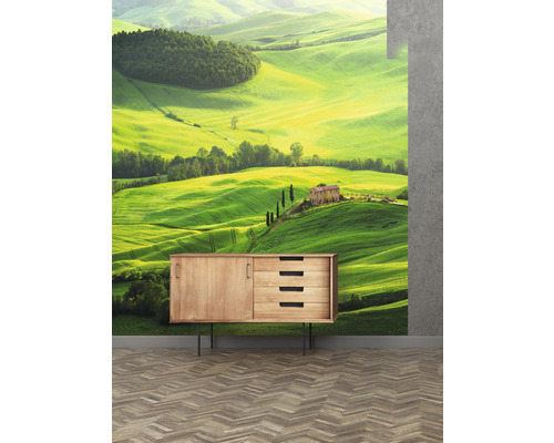 Wandafbeelding met landschap motief achter houten commode