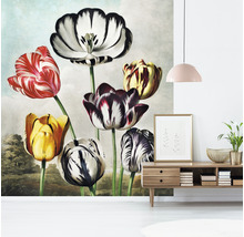 SPECIAL DECORATION Fotobehang vlies Thornton Tulpen 243x280 cm