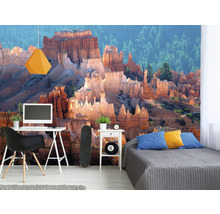 SPECIAL DECORATION Fotobehang vlies Bryce Canyon 243x184 cm