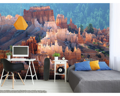 Woonkamer met foto van rotsformaties en bos