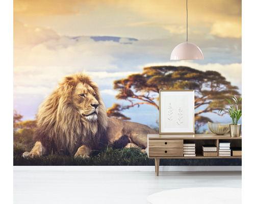 Kamer met een fotobehang met een leeuw op de savanne.
