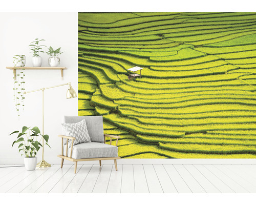 Woonkamer met fotobehang dat rijstterrassen toont
