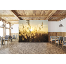 SPECIAL DECORATION Fotobehang vlies Meadow Grass 340x254 cm