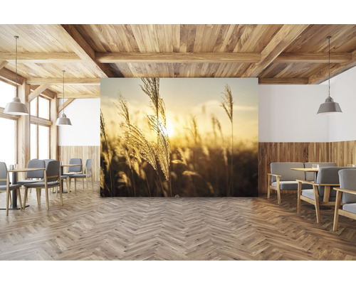 Woonkamer met houten balkenplafond, houten vloer in visgraatmotief en fotobehang met grassen in het avondlicht.