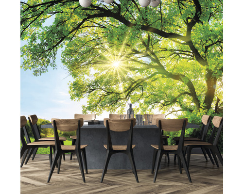 Scene met eettafel en boombehang op de achtergrond.