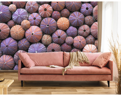 Decoratieve wand met bank en zee-egelmotief voor een lichte sfeer.