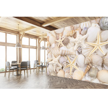 SPECIAL DECORATION Fotobehang vlies Schelpen 340x254 cm