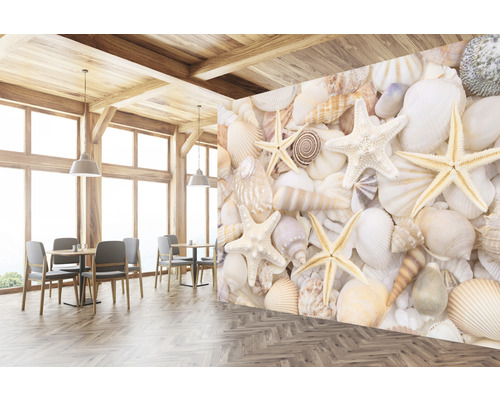 Interieurontwerp met fotobehang met schelpen- en zeesterrenmotief
