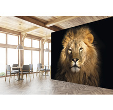SPECIAL DECORATION Fotobehang vlies Leeuw 340x254 cm