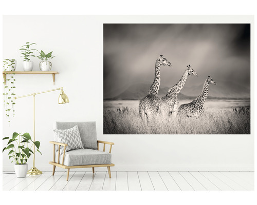Decoratieve wand met een zwart-witfoto van drie giraffen op een steppe, aangevuld met een fauteuil, een staande lamp en kamerplanten.