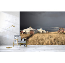 SPECIAL DECORATION Fotobehang vlies Mongolie Yurts 340x254 cm