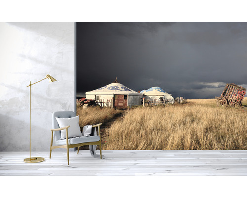 Woonkamer met fotobehang met joerten in een graslandschap onder een donkere hemel.
