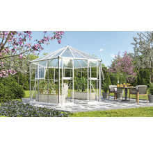 Kas met planten en tuinmeubelen in de tuin