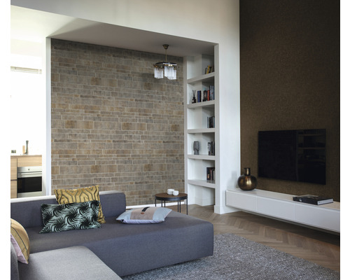 Moderne woonkamer met stenen muur, boekenkast, grijze bank en televisie