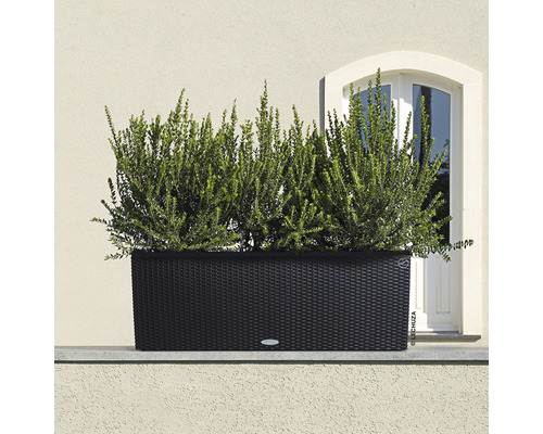 Zwarte plantenbak met beplanting voor een huisgevel