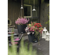 Twee hangende plantenbakken met bloemen op een terras.