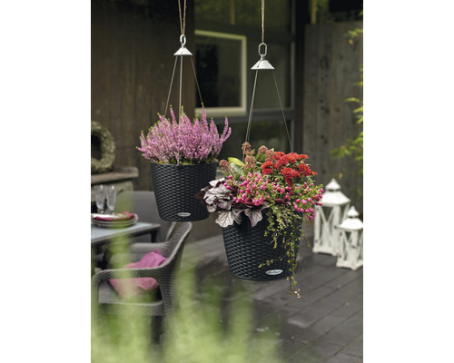 Twee hangende plantenbakken met bloemen op een terras.