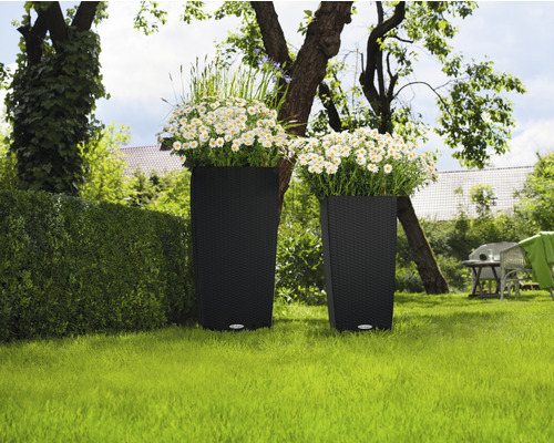 Twee plantenbakken met bloemen in een tuin.