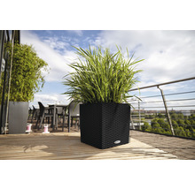 Plant in een vierkante, gevlochten plantenbak op een houten terras