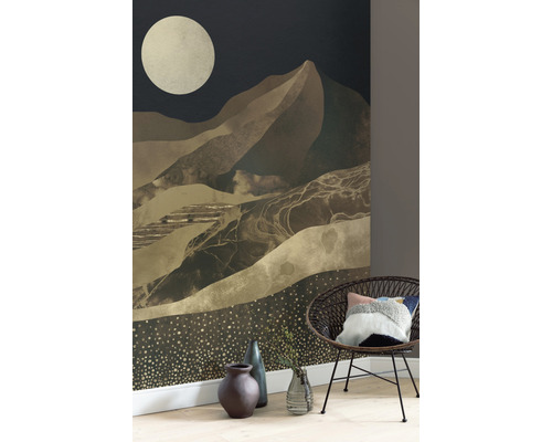 Woonkamer met een foto van een berglandschap, een stoel, vazen en een houten vloer.