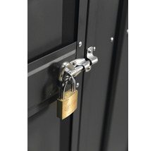 Met een hangslot vergrendelde metalen kastdeur