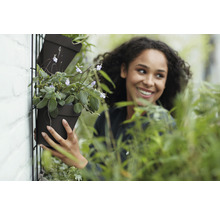 Vrouw plant een zwarte bloempot aan een verticale tuinmuur