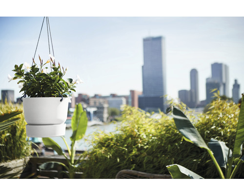 Scene met een hangende bloempot met planten op een balkon