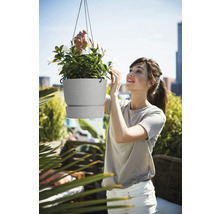 Vrouw bekijkt hangende bloempot met planten op een balkon.