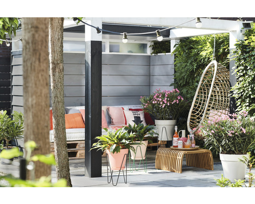 Terras met zitje, hangmand en planten in potten