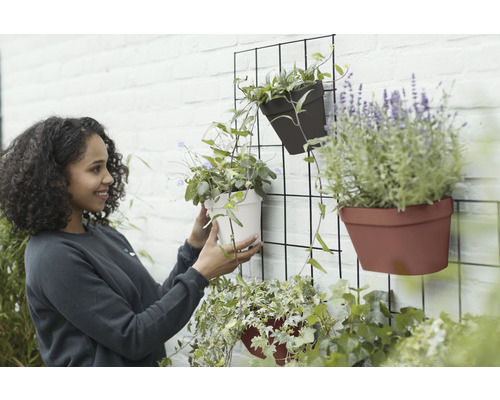 Vrouw rangschikt planten in wandpotten op een rooster